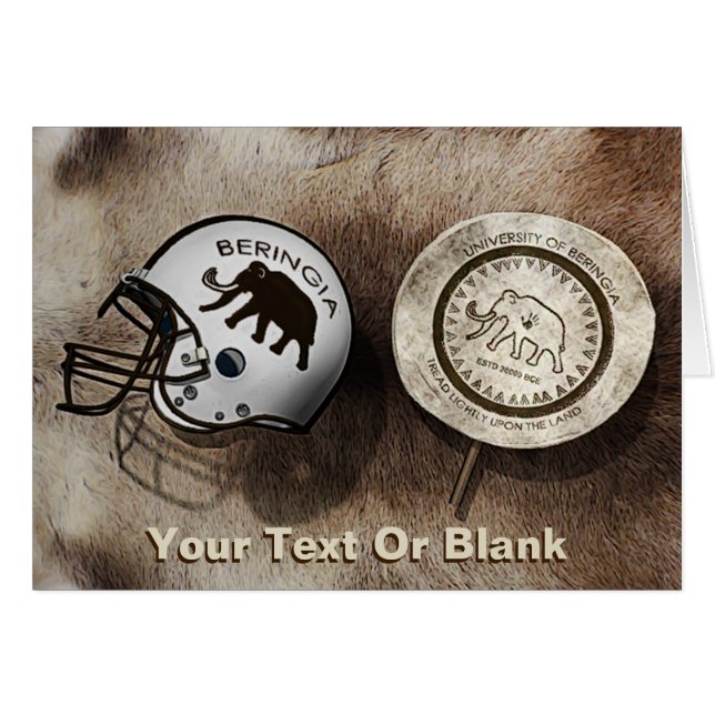 ベリンシアサッカー大学 (正面横)