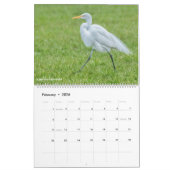 ベリンダ・グレブ写真撮影カレンダー カレンダー (2月 2026)