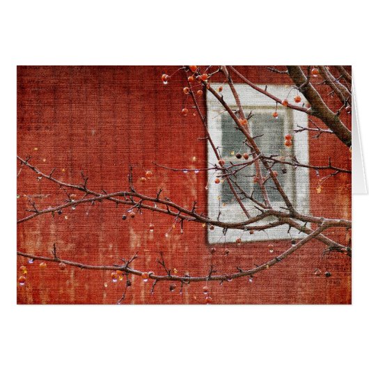 ベリーとレッドバーン (正面横)