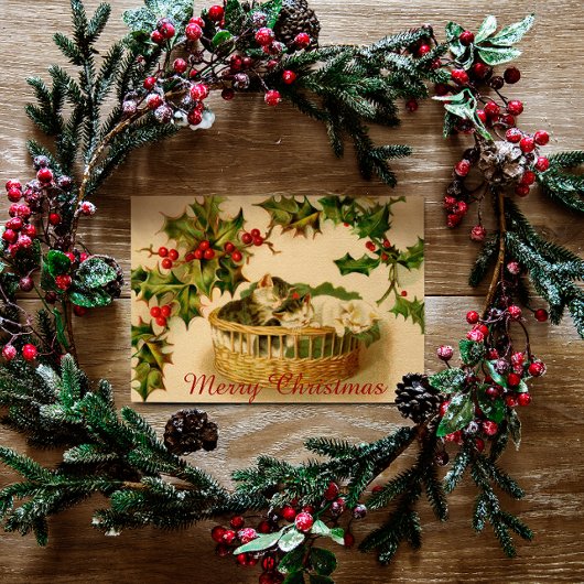 ベリーと一緒に眠るヴィンテージのクリスマスの子猫 シーズンポストカード