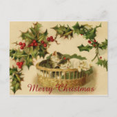 ベリーと一緒に眠るヴィンテージのクリスマスの子猫 シーズンポストカード (正面)
