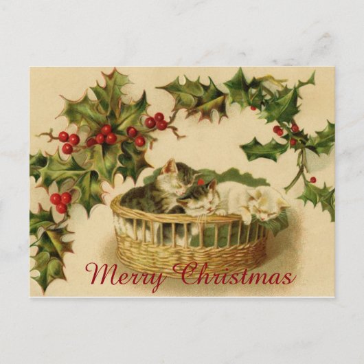 ベリーと一緒に眠るヴィンテージのクリスマスの子猫 シーズンポストカード (正面)