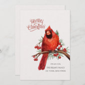 ベリーの枝に止まるルビー色のカーディナル ホリデー カード (正面/裏面)