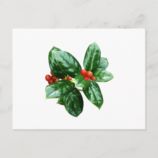 ベリーを持ったホリー ポストカード (正面)