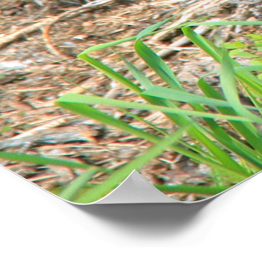 ベリーアップママベアとツインキューブ ポスター (角)