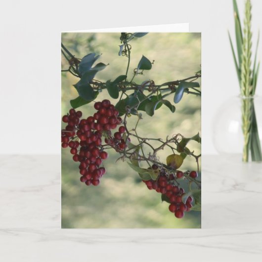 ベリーカード シーズンカード (正面)