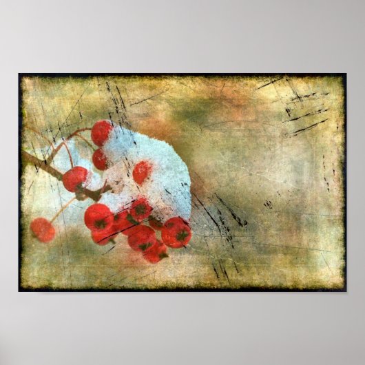 ベリーコールドグランジ ポスター (正面)