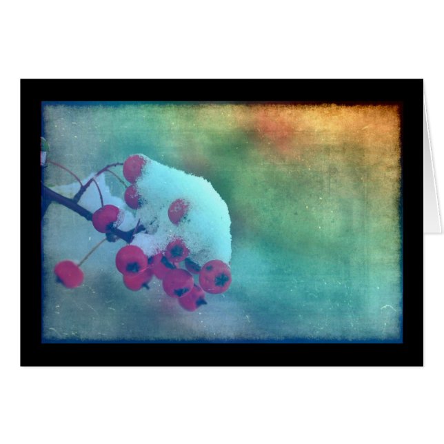 ベリーコールド (正面横)