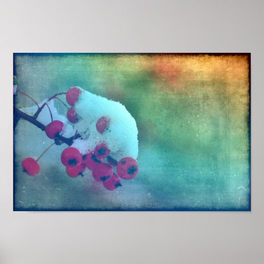 ベリーコールド ポスター (正面)