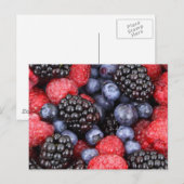 ベリーサラダ ポストカード (正面/裏面)