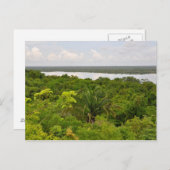 ベリーズの中米レインフォレスト ポストカード (正面/裏面)