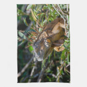 ベリーズの野生生物: オレンジイグアナトカゲの写真 キッチンタオル (縦)