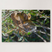 ベリーズイグアナ，オレンジリザード ジグソーパズル (横)