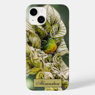 ベリーズオリーブユーフォニアバードフォト Case-Mate iPhone 14ケース