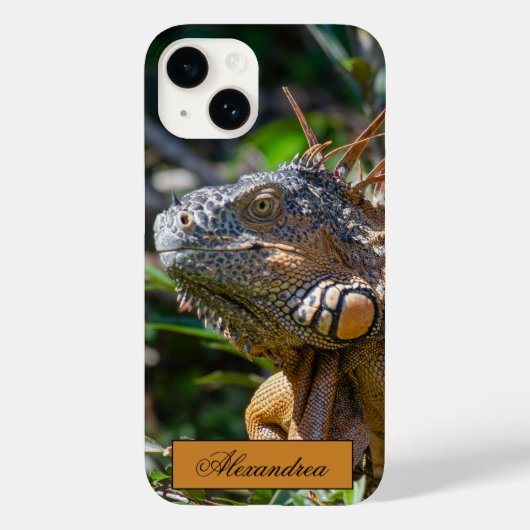 ベリーズオレンジIguana Lizard写真 Case-Mate iPhoneケース (裏面)