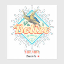 ベリーズカリブのレトロタートルヴィンテージ土産