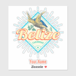 ベリーズカリブのレトロタートルヴィンテージ土産 シール