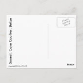 ベリーズサンセットポストカード ポストカード (裏面)