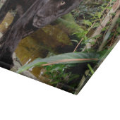 ベリーズシティ動物園。黒いヒョウ カッティングボード (角)