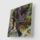 ベリーズシティ動物園。黒いヒョウ スクエア壁時計 (傾斜)