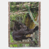 ベリーズシティ動物園。黒いヒョウ スローブランケット (正面縦)