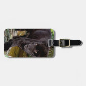 ベリーズシティ動物園。黒いヒョウ ラゲッジタグ (正面横)