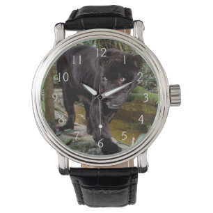 ベリーズシティ動物園。黒いヒョウ 腕時計