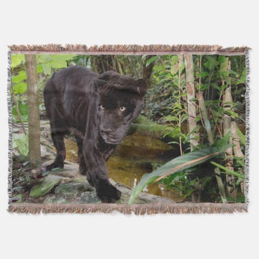 ベリーズシティ動物園 黒豹 スローブランケット (正面)