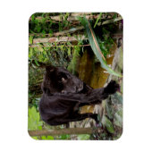 ベリーズシティ動物園 黒豹 マグネット (縦)