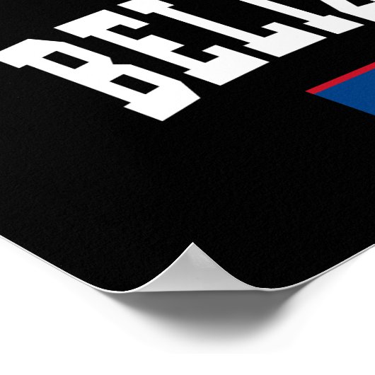 ベリーズスタイル ポスター (角)