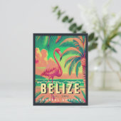 ベリーズセントラルアメリカヴィンテージトロピカル1950s ポストカード (スタンド正面)