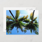 ベリーズパームツリーズ ポストカード (正面/裏面)