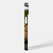 ベリーズブラウン道端ホーク鳥写真 Case-Mate iPhoneケース (裏面 / 右)