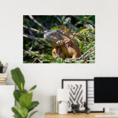 ベリーズリザードウィグアナ ポスター (ホームオフィス)