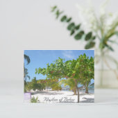 ベリーズリズム ポストカード (スタンド正面)