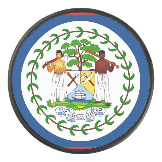 ベリーズ国旗と愛国的なホッケーパック アイスホッケーパック (正面)