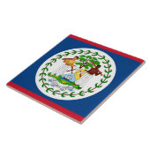 ベリーズ国旗のタイル タイル (側面)