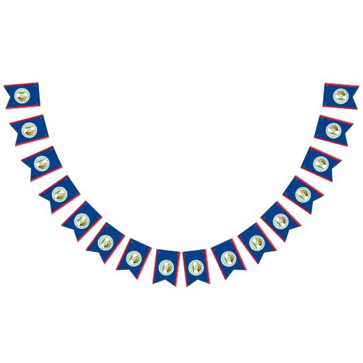 ベリーズ国旗のバンティング旗 バンティングフラッグ (全)