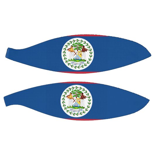 ベリーズ国旗を持つフルサイズバスケットボール バスケットボール (パネル)