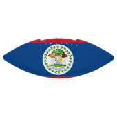 ベリーズ国旗を持つ愛国的なアメリカンフットボール アメリカンフットボール (パネル)