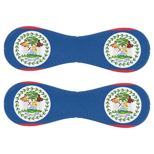 ベリーズ国旗を持つ愛国的なソフトボール ソフトボール (パネル)