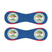 ベリーズ国旗を持つ愛国野球 野球ボール (パネル)