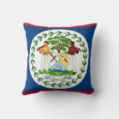 ベリーズ国旗アメリカのモジョ枕 クッション (裏面)