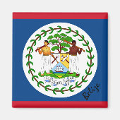 ベリーズ国旗&アメリカの休日/スポーツファン マグネット (正面)