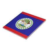 ベリーズ国旗 タイル (側面)