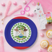 ベリーズ国旗 ペーパープレート (パーティー)