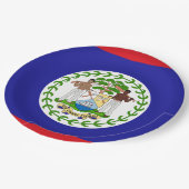 ベリーズ国旗 ペーパープレート (アングル)