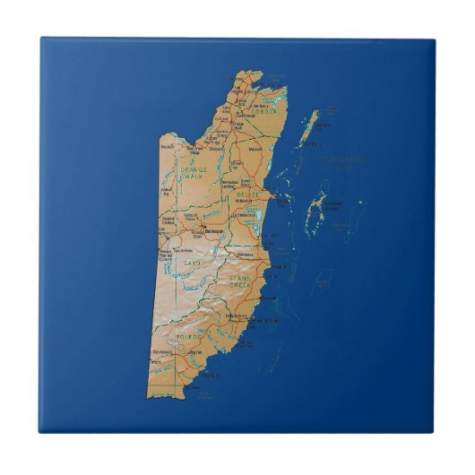 ベリーズ地図タイル タイル (正面)