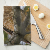 ベリーズ野生動物：道端のホーク写真 キッチンタオル (四つ折り)