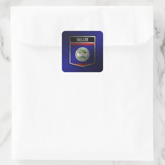 ベリーズ スクエアシール (バッグ)